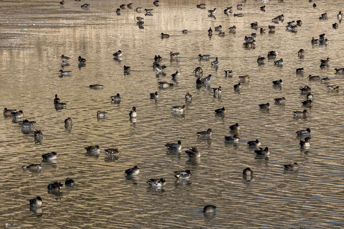 Konya merkezi sulayan kaynakta hareketlilik başladı 12